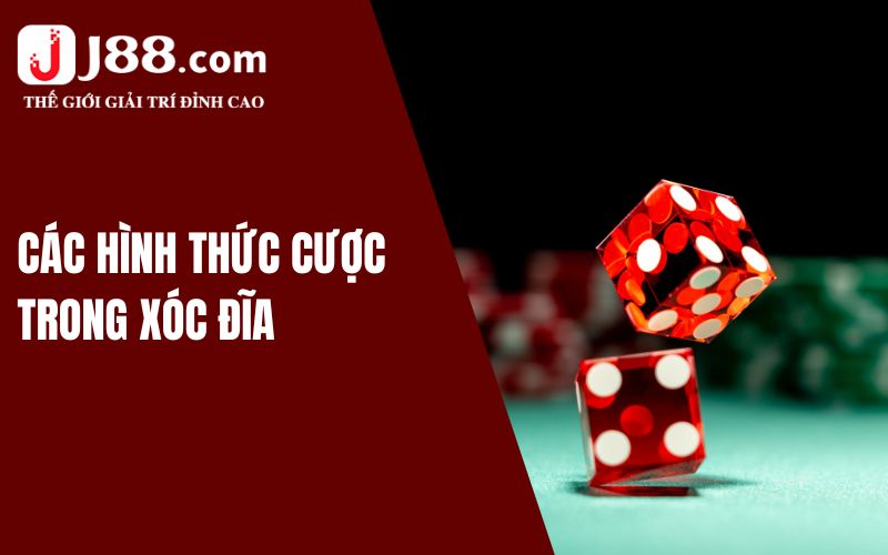 Hướng Dẫn Luật Chơi Xóc Đĩa J88 Cơ Bản Từ A đến Z Cho Tân Thủ 2 Chi tiết luật chơi xóc đĩa từ A đến Z
