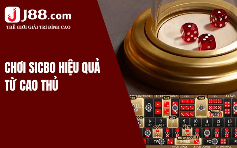 Lưu ý nho nhỏ khi bet thủ tham gia Sicbo