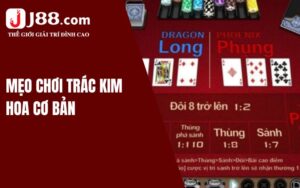 Quy định luật lệ Trác Kim Hoa chi tiết cho hội viên
